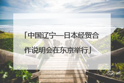 中国辽宁—日本经贸合作说明会在东京举行