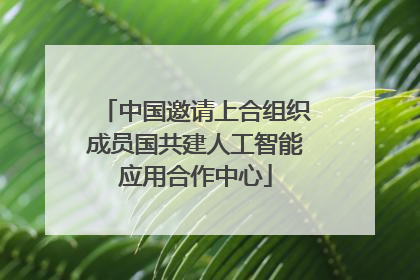 中国邀请上合组织成员国共建人工智能应用合作中心