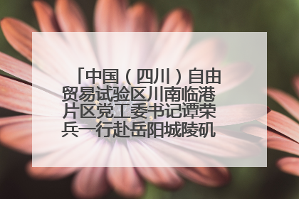 中国（四川）自由贸易试验区川南临港片区党工委书记谭荣兵一行赴岳阳城陵矶综保区考察