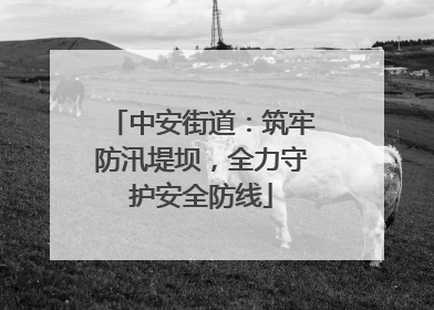 中安街道：筑牢防汛堤坝，全力守护安全防线