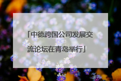 中德跨国公司发展交流论坛在青岛举行