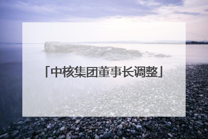 中核集团董事长调整