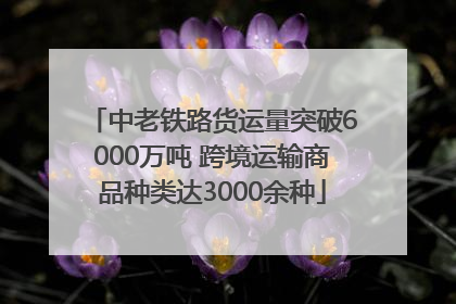 中老铁路货运量突破6000万吨 跨境运输商品种类达3000余种