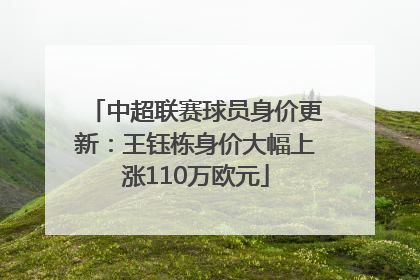 中超联赛球员身价更新:王钰栋身价大幅上涨110万欧元