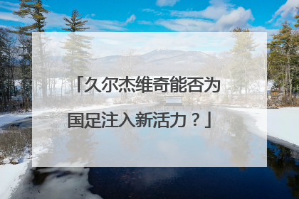 久尔杰维奇能否为国足注入新活力？