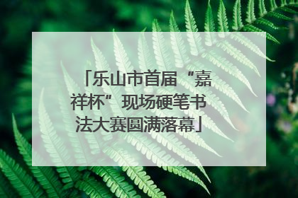乐山市首届“嘉祥杯”现场硬笔书法大赛圆满落幕