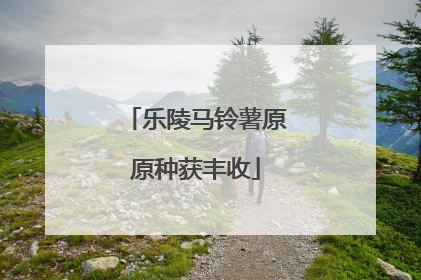 乐陵马铃薯原原种获丰收