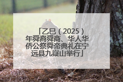 乙巳（2025）年舜裔舜商、华人华侨公祭舜帝典礼在宁远县九嶷山举行