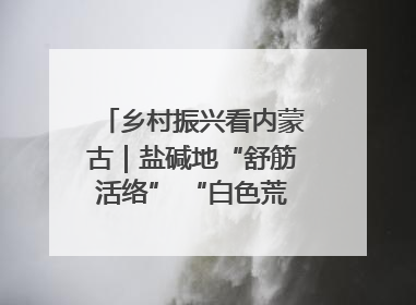 乡村振兴看内蒙古｜盐碱地“舒筋活络” “白色荒漠”长出吨粮田