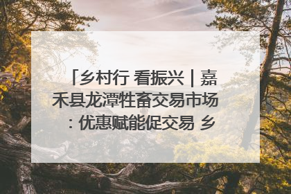乡村行 看振兴｜嘉禾县龙潭牲畜交易市场：优惠赋能促交易 乡村振兴添动能