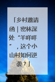 乡村邀请函｜密林深处“羊咩咩”，这个小山村如何逆袭？