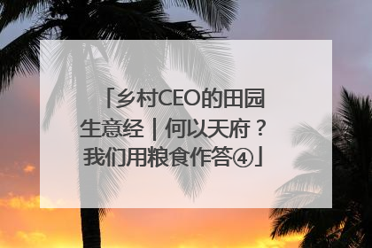 乡村CEO的田园生意经｜何以天府？我们用粮食作答④