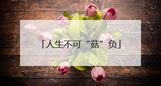 人生不可“菇”负