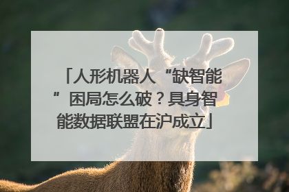人形机器人“缺智能”困局怎么破？具身智能数据联盟在沪成立