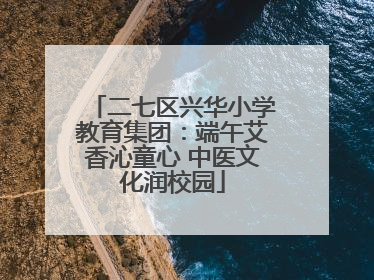 二七区兴华小学教育集团：端午艾香沁童心 中医文化润校园