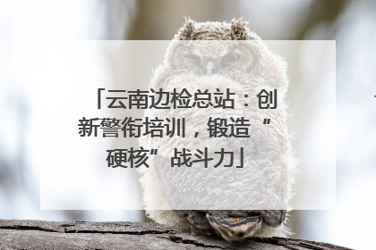 云南边检总站：创新警衔培训，锻造“硬核”战斗力