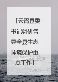 云霄县委书记调研督导全县生态环境保护重点工作
