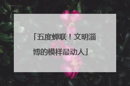 五度蝉联！文明淄博的模样最动人