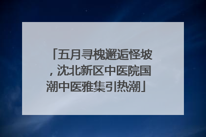 五月寻槐邂逅怪坡，沈北新区中医院国潮中医雅集引热潮
