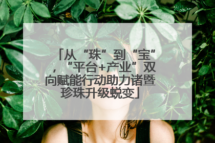 从“珠”到“宝”，“平台+产业”双向赋能行动助力诸暨珍珠升级蜕变