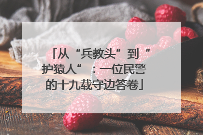 从“兵教头”到“护猿人”：一位民警的十九载守边答卷