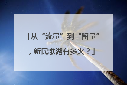 从“流量”到“留量”，新民歌湖有多火？
