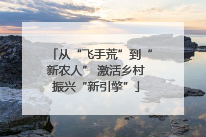 从“飞手荒”到“新农人” 激活乡村振兴“新引擎”