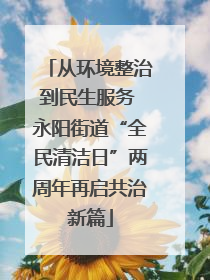 从环境整治到民生服务 永阳街道“全民清洁日”两周年再启共治新篇