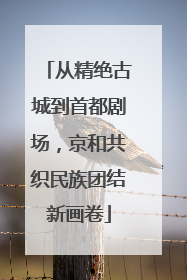 从精绝古城到首都剧场，京和共织民族团结新画卷