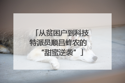 从贫困户到科技特派员顺昌蜂农的“甜蜜逆袭”