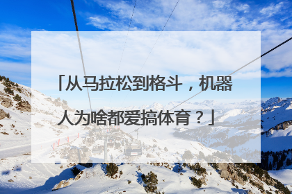 从马拉松到格斗，机器人为啥都爱搞体育？