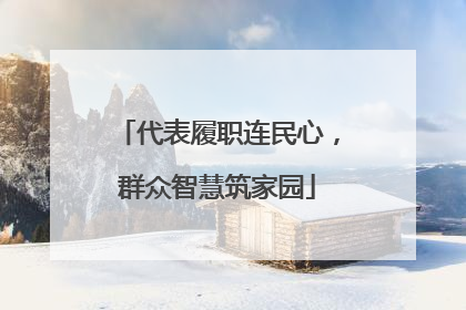 代表履职连民心，群众智慧筑家园