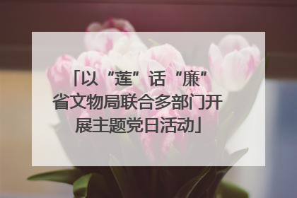 以“莲”话“廉” 省文物局联合多部门开展主题党日活动