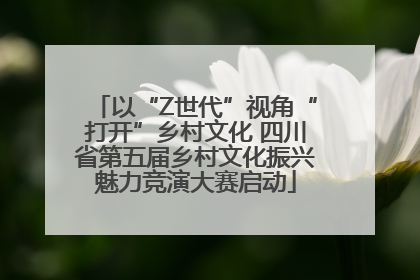 以“Z世代”视角“打开”乡村文化 四川省第五届乡村文化振兴魅力竞演大赛启动