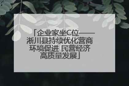 企业家坐C位——淅川县持续优化营商环境促进 民营经济高质量发展