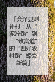会泽县则补村：从“泥泞路”到“致富道”的“四好农村路”蝶变新篇