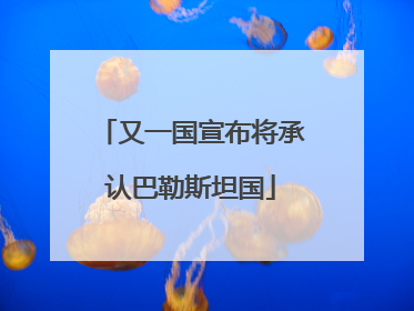 又一国宣布将承认巴勒斯坦国