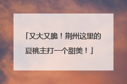 又大又脆！荆州这里的夏桃主打一个甜美！
