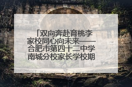 双向奔赴育桃李 家校同心向未来——合肥市第四十二中学南城分校家长学校期末总结会圆满召开