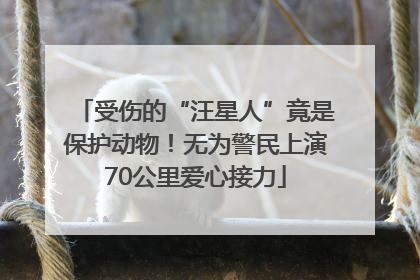 受伤的“汪星人”竟是保护动物！无为警民上演70公里爱心接力