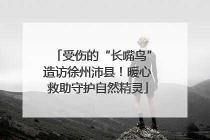受伤的“长嘴鸟”造访徐州沛县！暖心救助守护自然精灵
