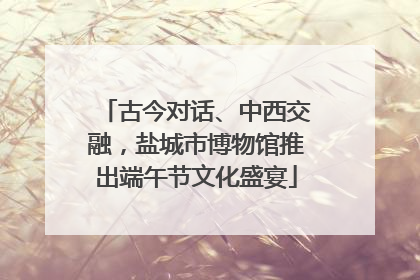 古今对话、中西交融，盐城市博物馆推出端午节文化盛宴