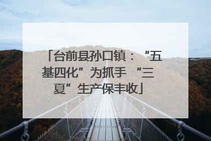 台前县孙口镇：“五基四化”为抓手 “三夏”生产保丰收