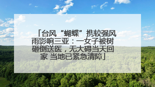 台风“蝴蝶”携较强风雨影响三亚：一女子被树砸倒送医，无大碍当天回家 当地已紧急清障
