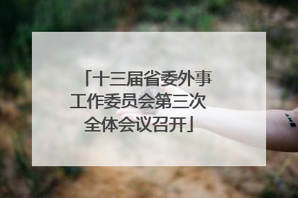 十三届省委外事工作委员会第三次全体会议召开