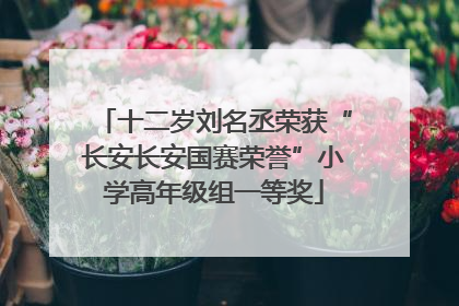 十二岁刘名丞荣获“长安长安国赛荣誉”小学高年级组一等奖