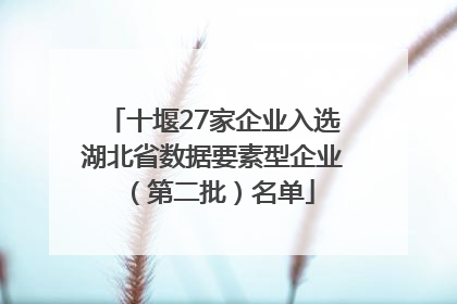 十堰27家企业入选湖北省数据要素型企业（第二批）名单