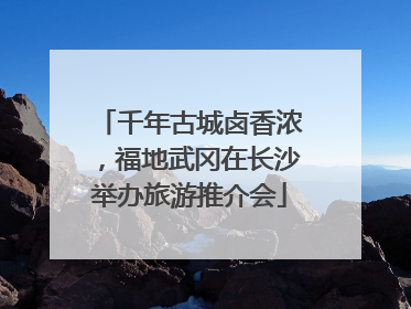 千年古城卤香浓，福地武冈在长沙举办旅游推介会