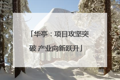 华亭：项目攻坚突破 产业向新跃升
