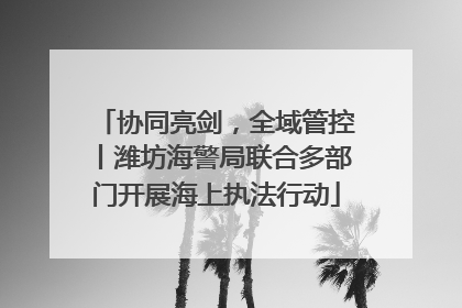 协同亮剑，全域管控丨潍坊海警局联合多部门开展海上执法行动